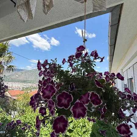 Magnifica Villa